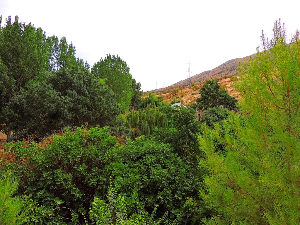 Foto de Riofrio (Granada), España