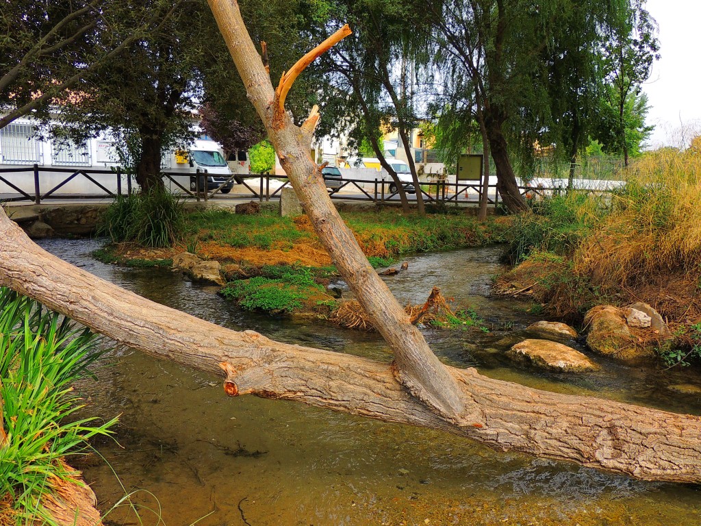 Foto de Riofrio (Granada), España