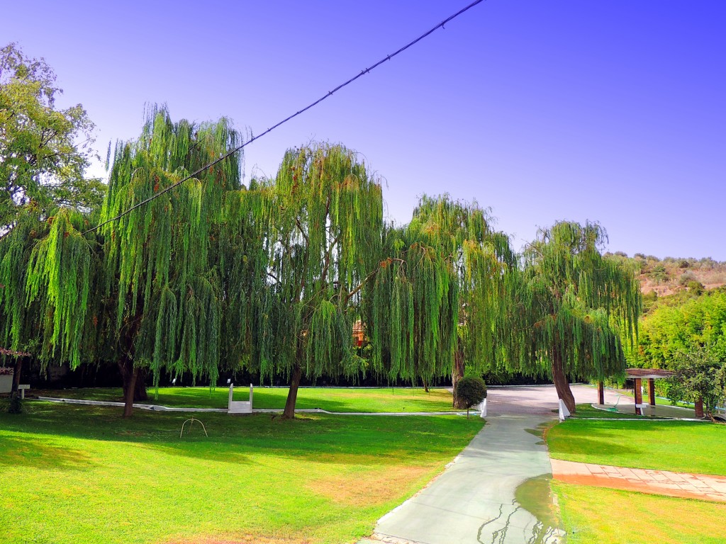 Foto de Riofrio (Granada), España