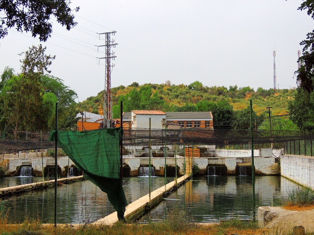 Foto de Riofrio (Granada), España
