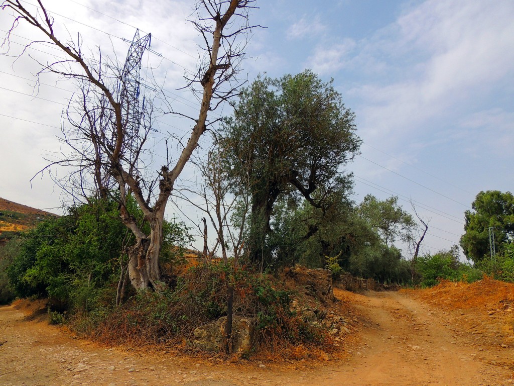 Foto de Riofrio (Granada), España