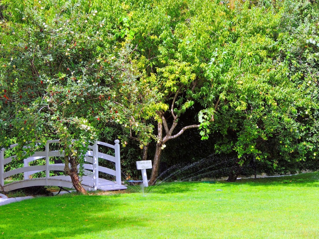 Foto de Riofrio (Granada), España