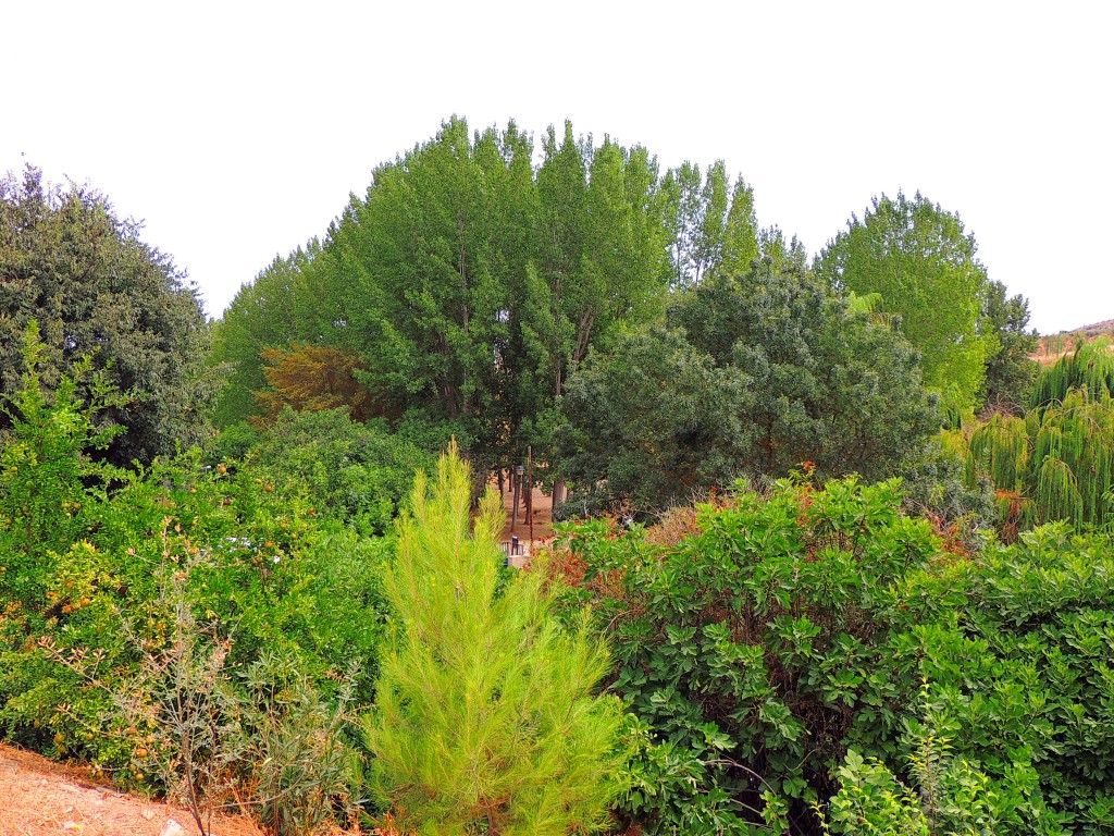 Foto de Riofrio (Granada), España