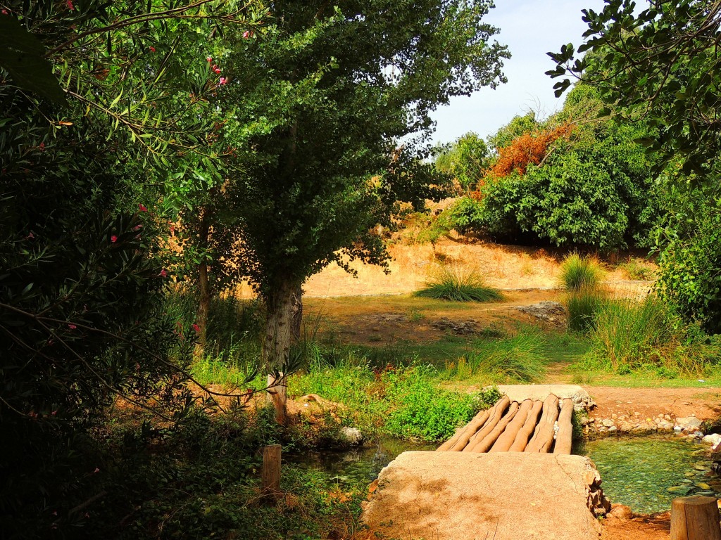 Foto de Riofrio (Granada), España