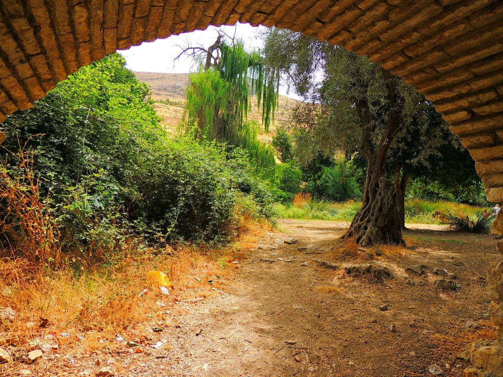 Foto de Riofrio (Granada), España