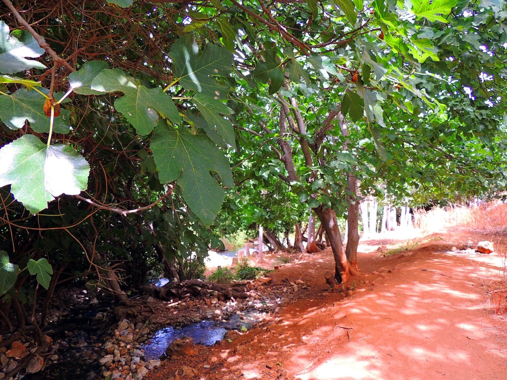 Foto de Riofrio (Granada), España