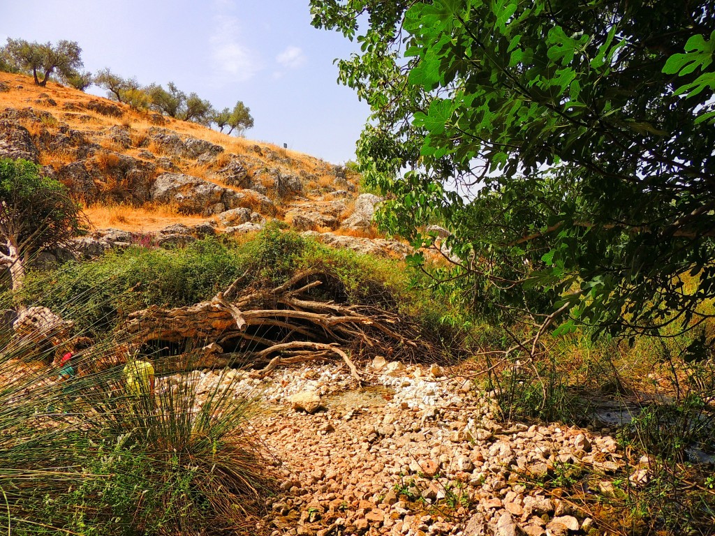 Foto de Riofrio (Granada), España