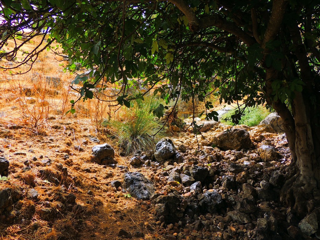 Foto de Riofrio (Granada), España