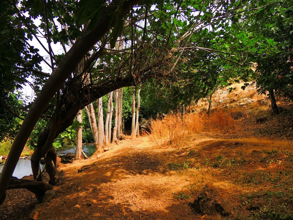 Foto de Riofrio (Granada), España