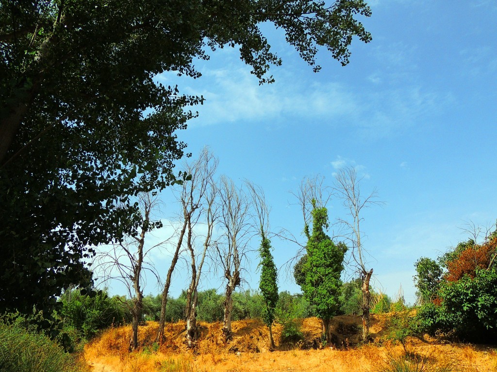 Foto de Riofrio (Granada), España