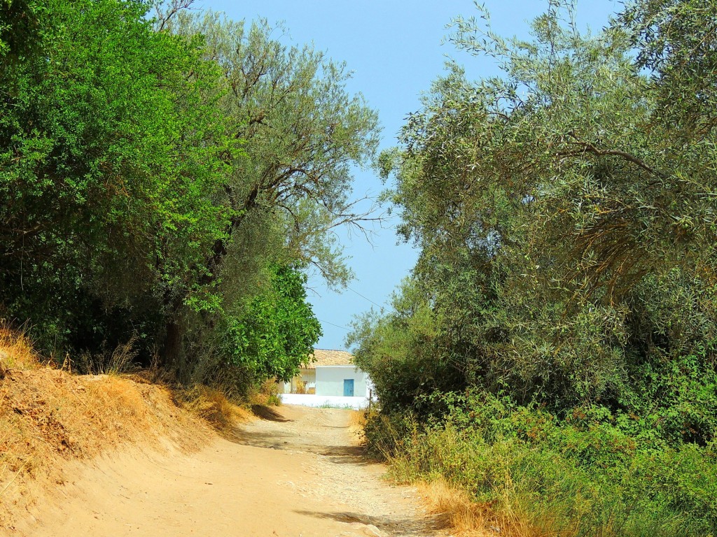 Foto de Riofrio (Granada), España