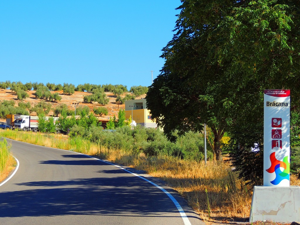 Foto de Brácana (Granada), España