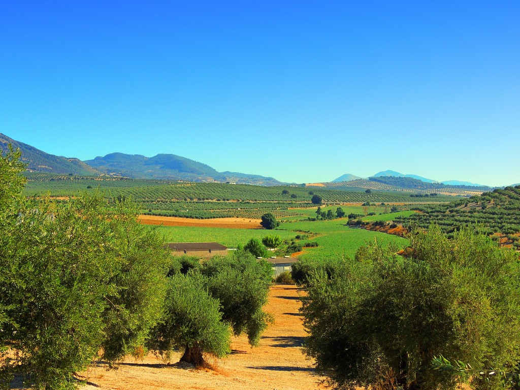 Foto de Brácana (Granada), España