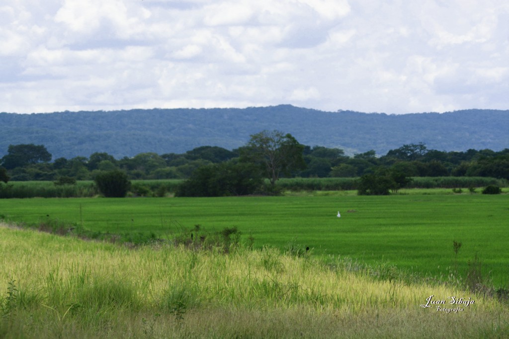 Foto de Guanacaste, Costa Rica