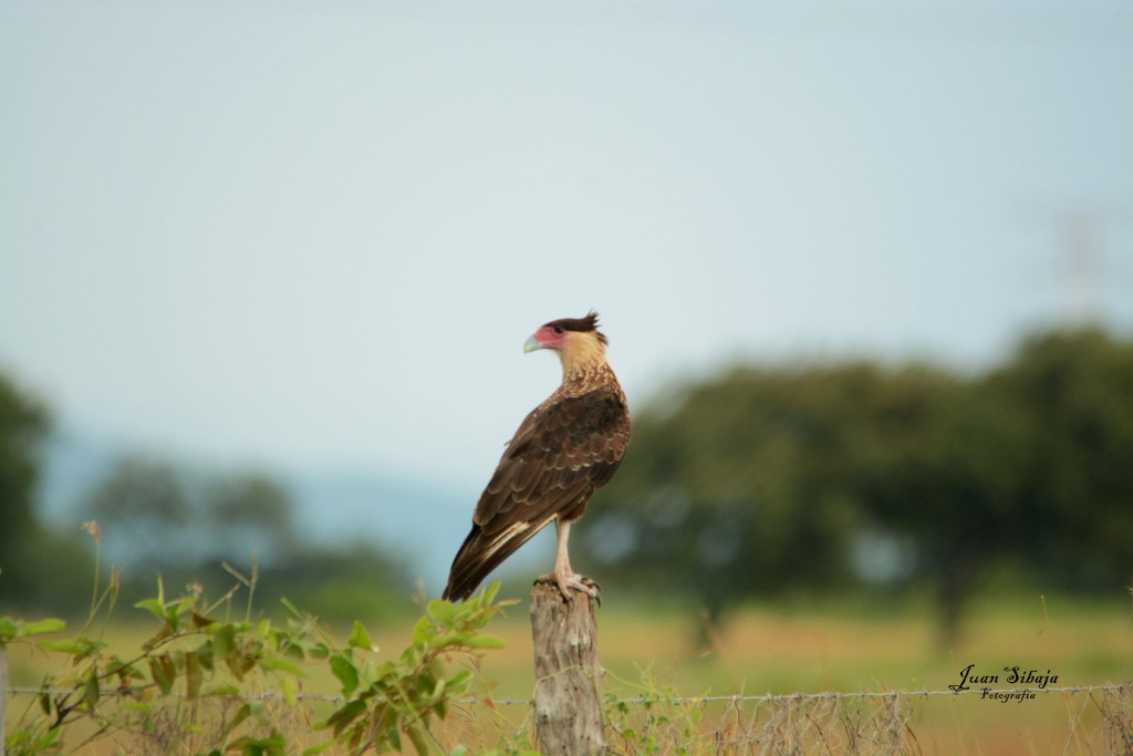 Foto de Guanacaste, Costa Rica