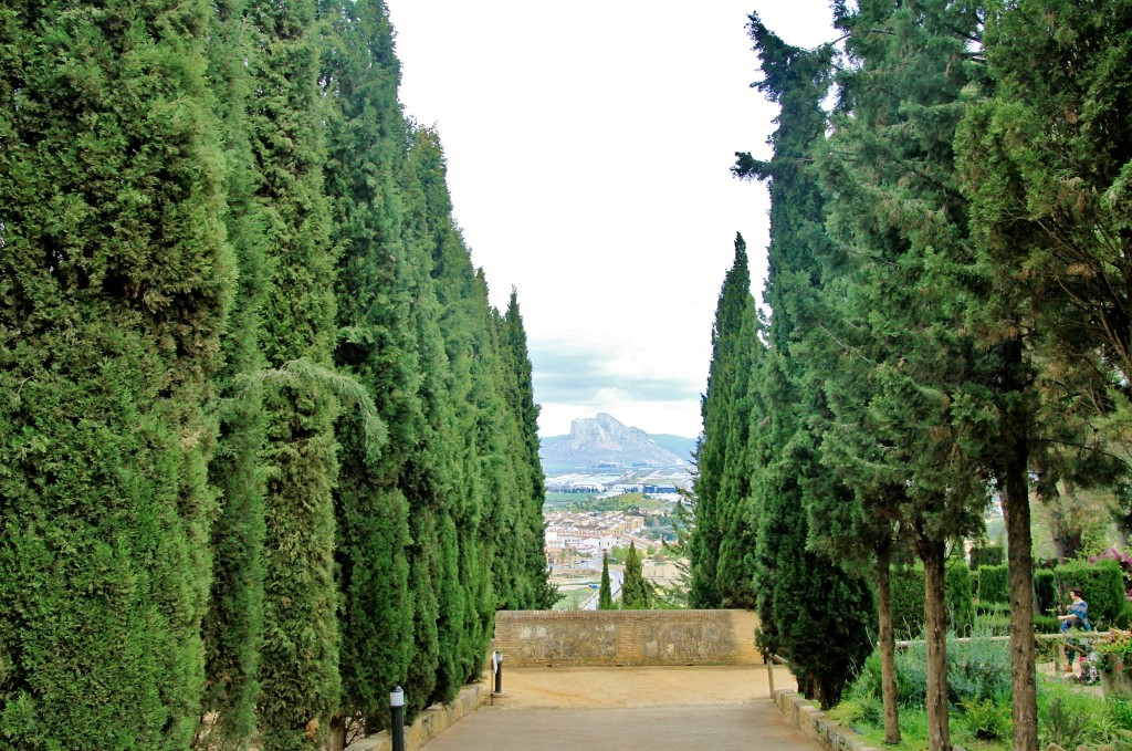 Foto: Alcazaba - Antequera (Málaga), España