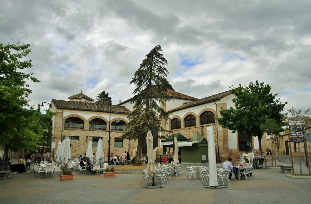 Foto: Vista de la ciudad - Antequera (Málaga), España