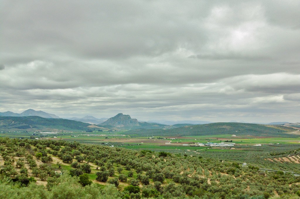 Foto: Paisaje - Archidona (Málaga), España