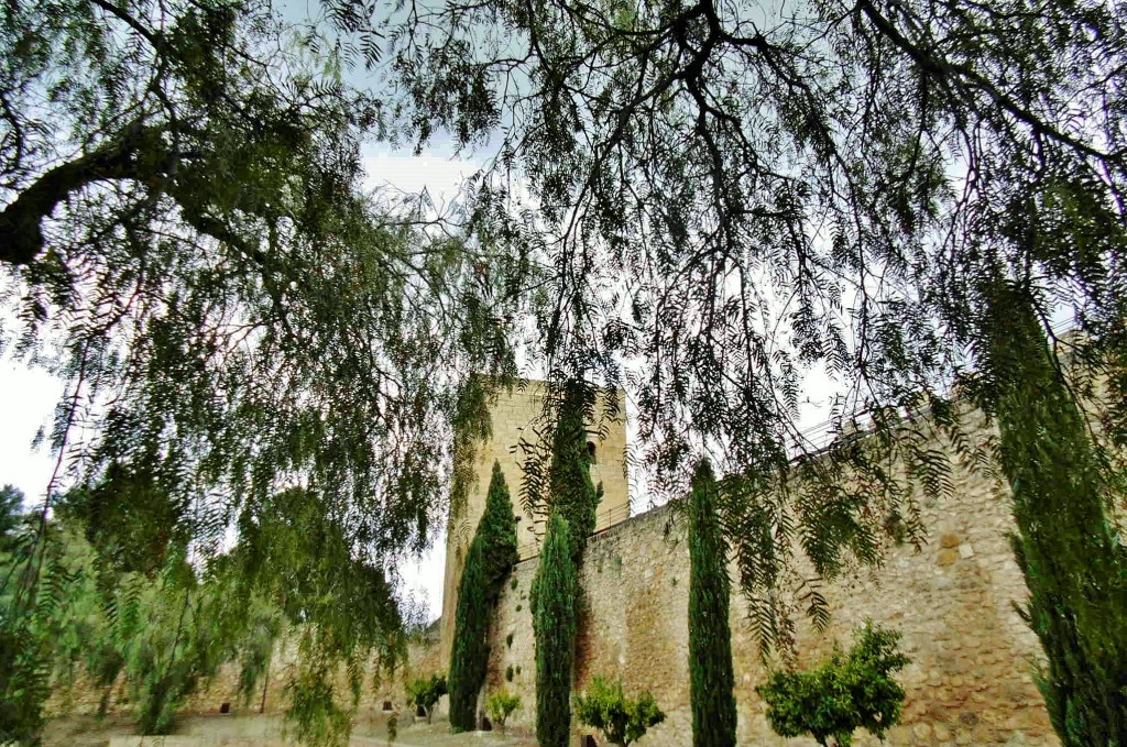 Foto: Alcazaba - Antequera (Málaga), España