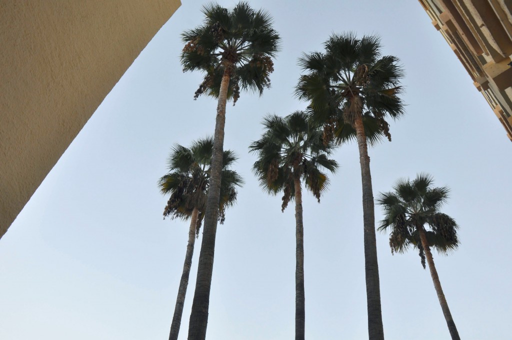 Foto: Hotel Al Andalus - Torremolinos (Málaga), España