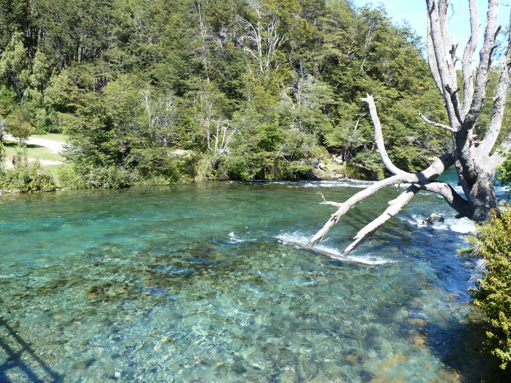 Foto: Lago Mascardi - Bariloche (Río Negro), Argentina