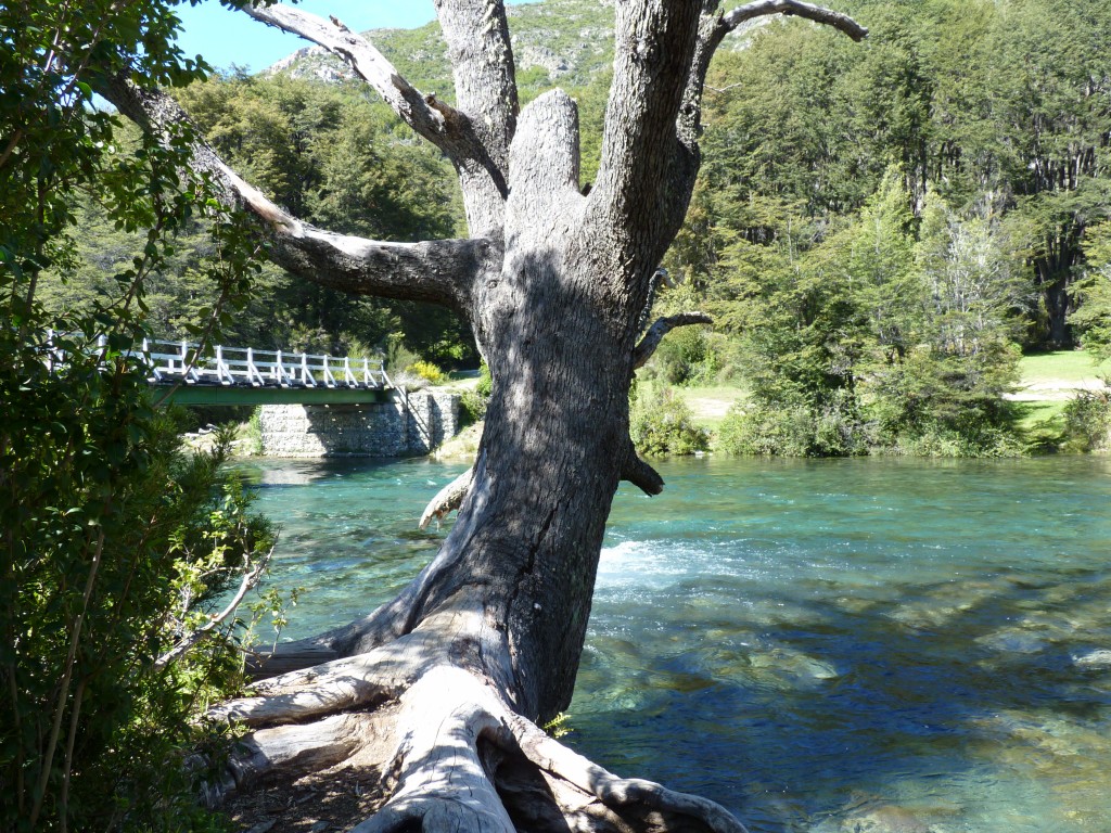 Foto: Bariloche - Bariloche (Río Negro), Argentina