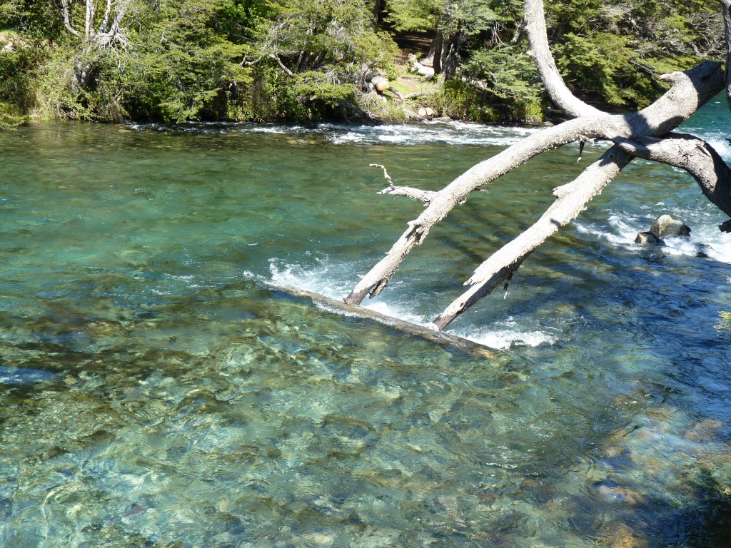 Foto: Lago Mascardi - Bariloche (Río Negro), Argentina