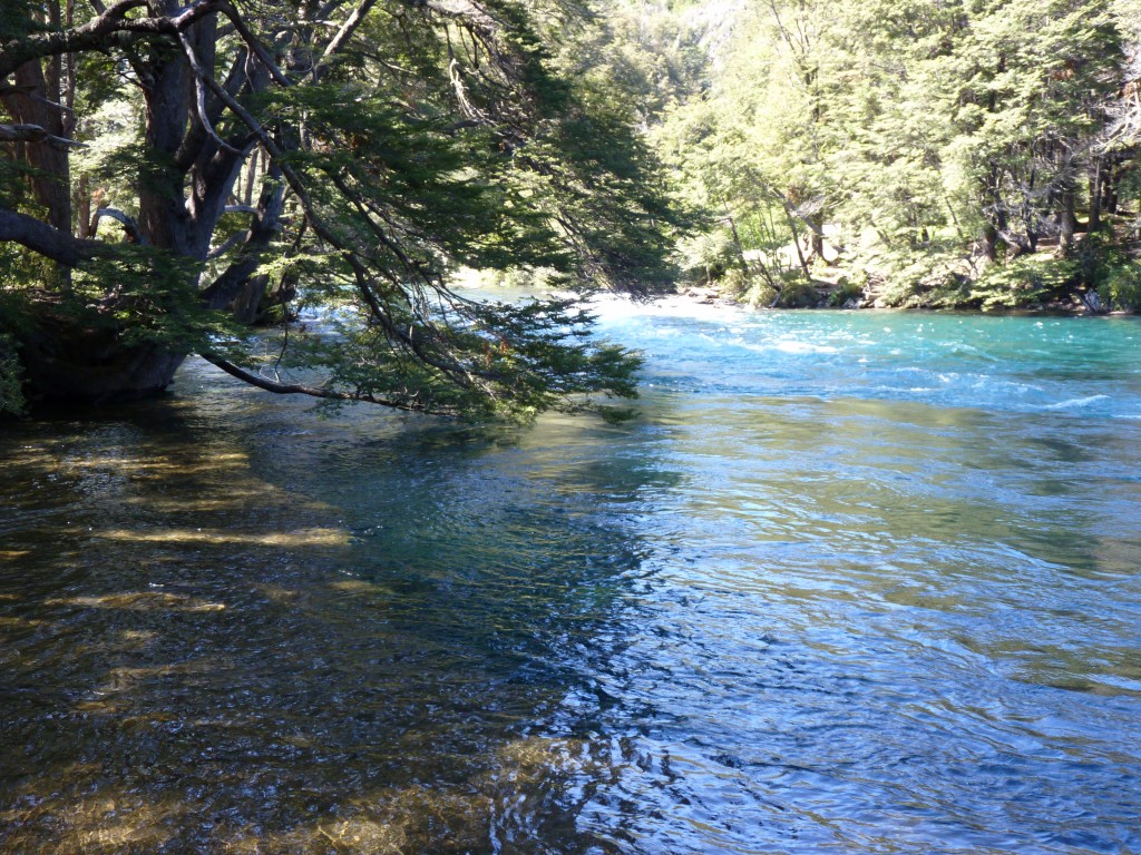 Foto: Río Manso - Bariloche (Río Negro), Argentina