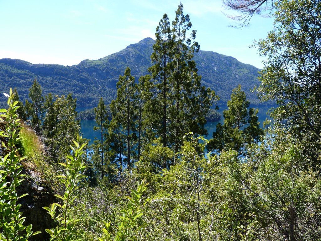 Foto: Lago Mascardi - Bariloche (Río Negro), Argentina