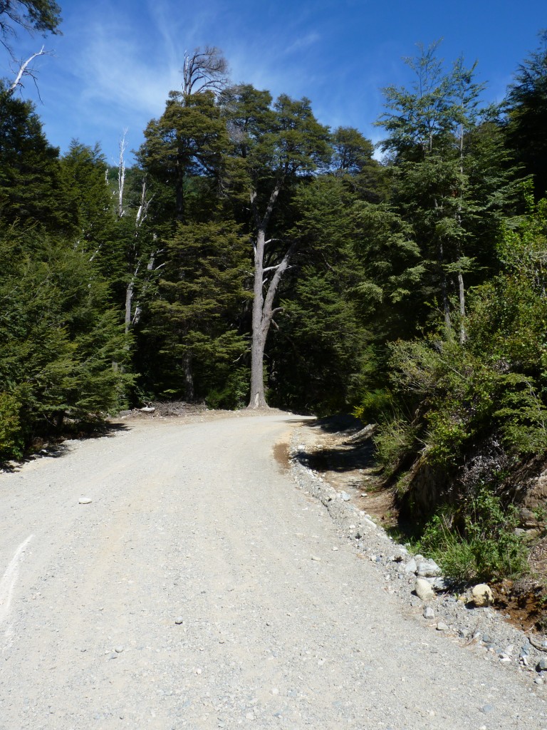 Foto: Mirador del Lago Mascardi - Bariloche (Río Negro), Argentina