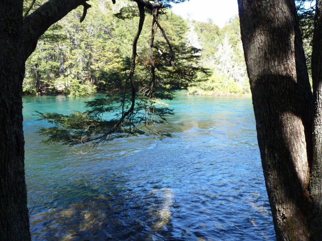 Foto: Río Manso - Bariloche (Río Negro), Argentina