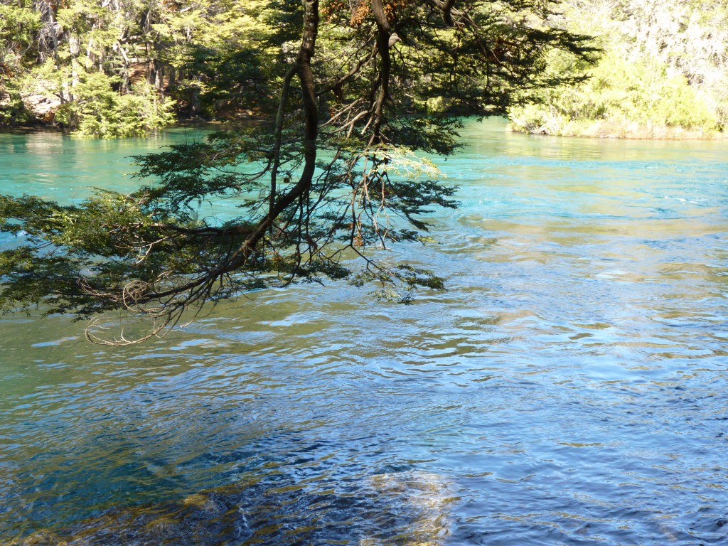 Foto: Río Manso - Bariloche (Río Negro), Argentina