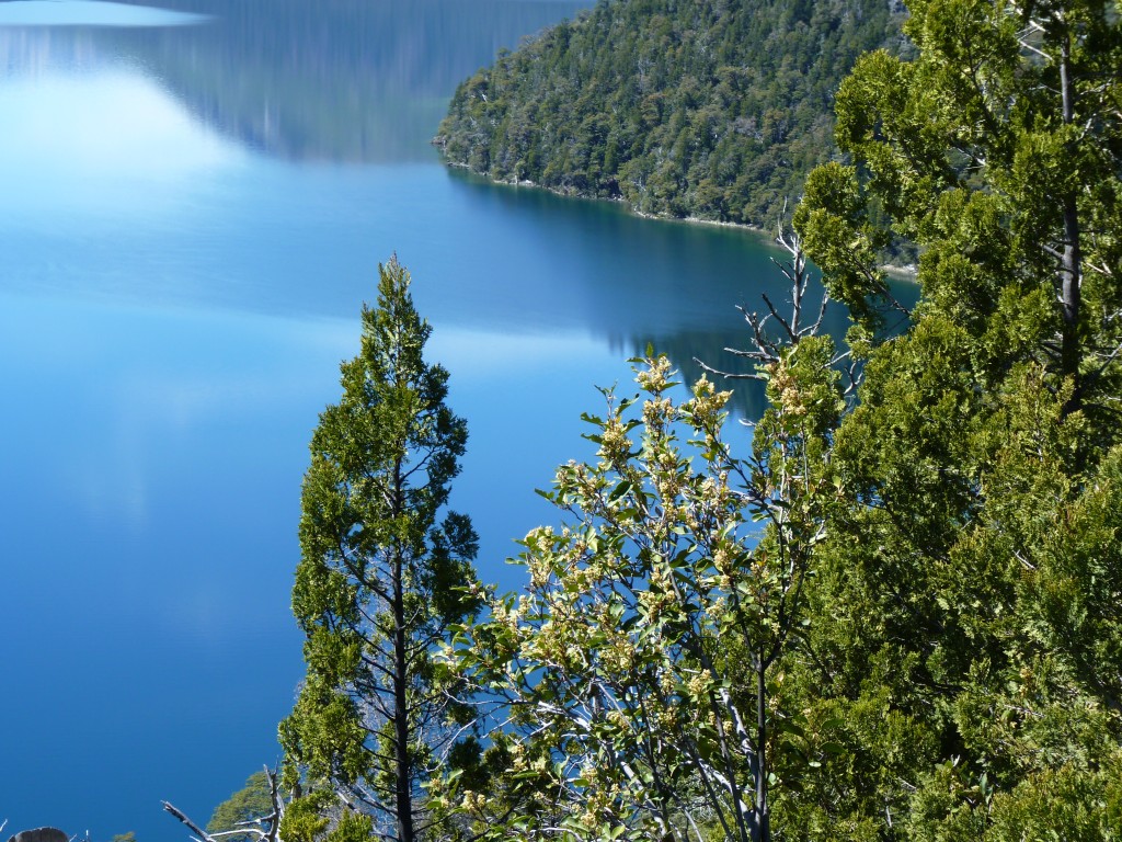Foto: Mirador del Lago Mascardi - Bariloche (Río Negro), Argentina