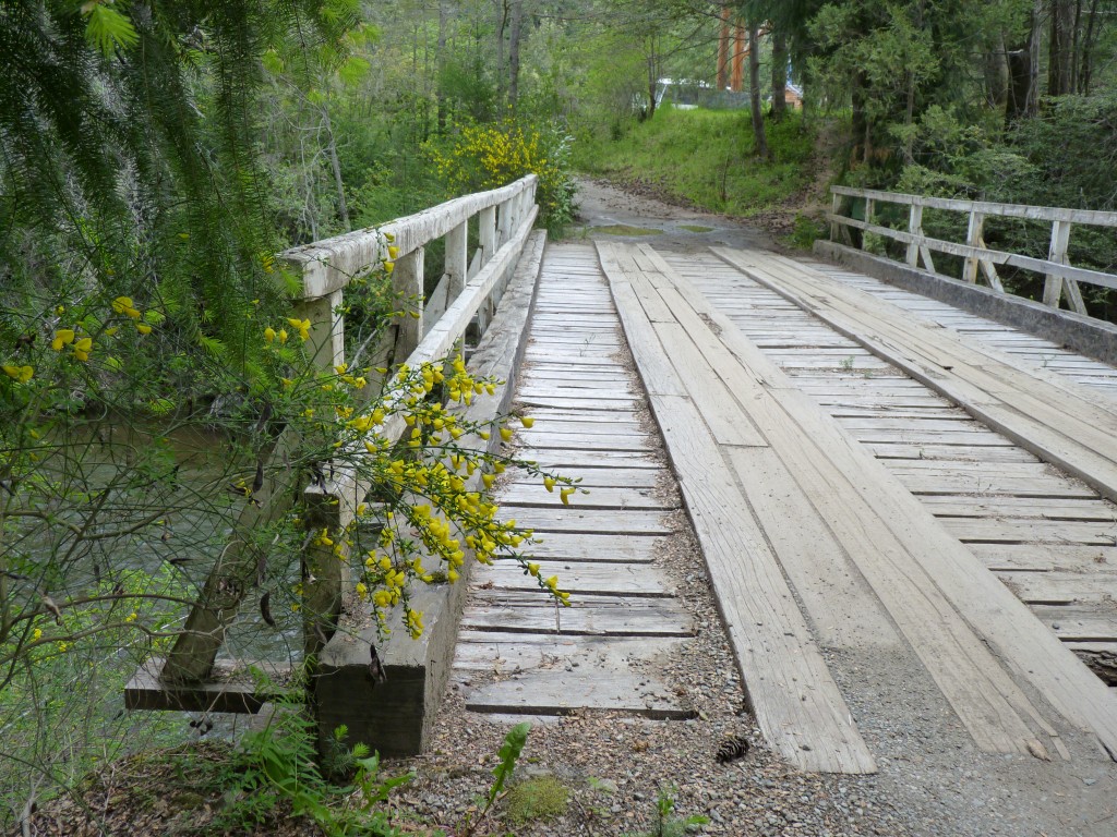 Foto: Parque Nacional Nahuel Huapi - Bariloche (Río Negro), Argentina