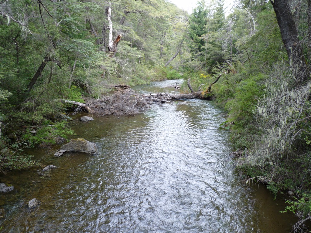 Foto: Parque Nacional Nahuel Huapi - Bariloche (Río Negro), Argentina