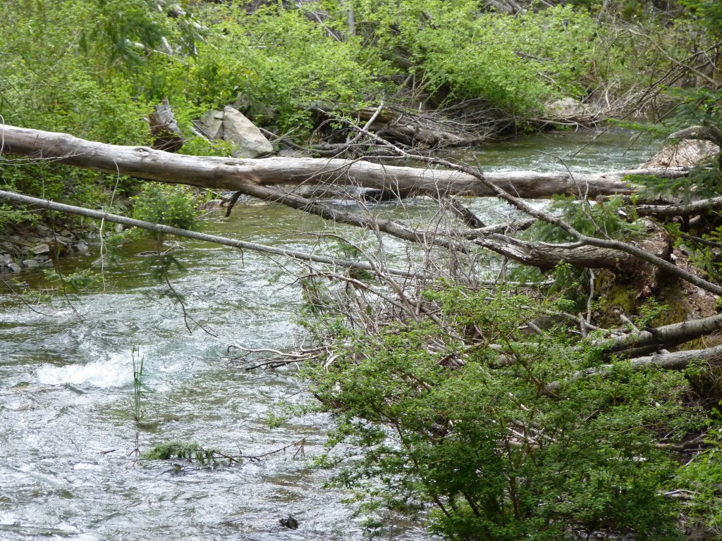 Foto: Parque Nacional Nahuel Huapi - Bariloche (Río Negro), Argentina