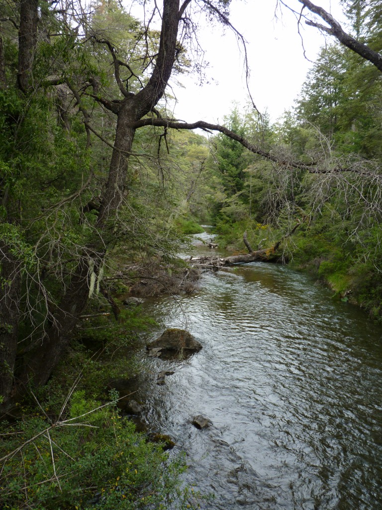 Foto: Parque Nacional Nahuel Huapi - Bariloche (Río Negro), Argentina