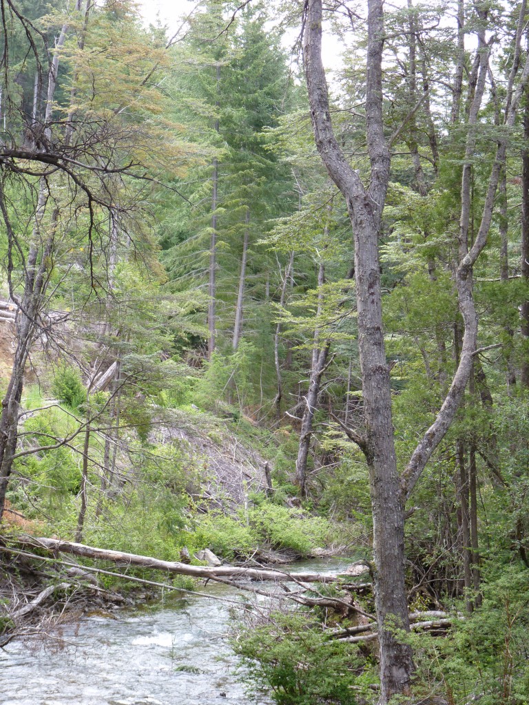 Foto: Parque Nacional Nahuel Huapi - Bariloche (Río Negro), Argentina