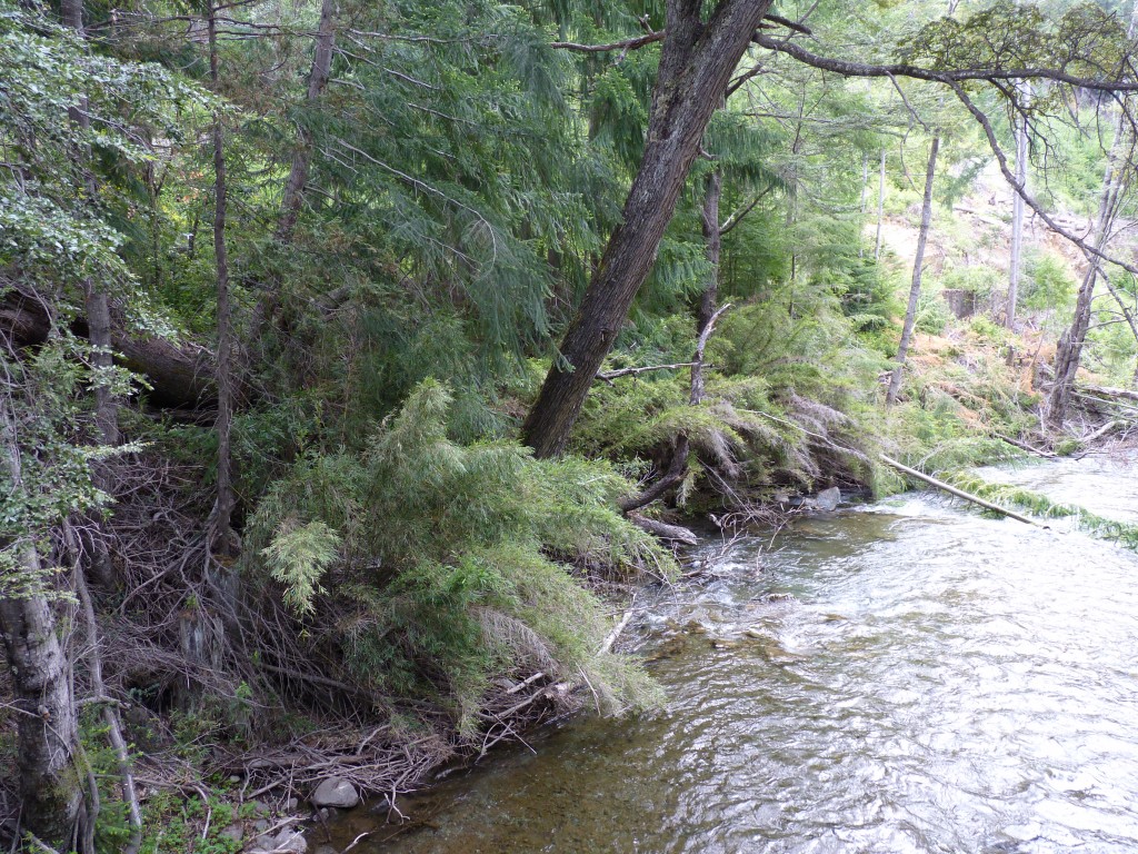 Foto: Parque Nacional Nahuel Huapi - Bariloche (Río Negro), Argentina