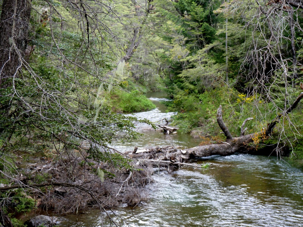 Foto: Parque Nacional Nahuel Huapi - Bariloche (Río Negro), Argentina