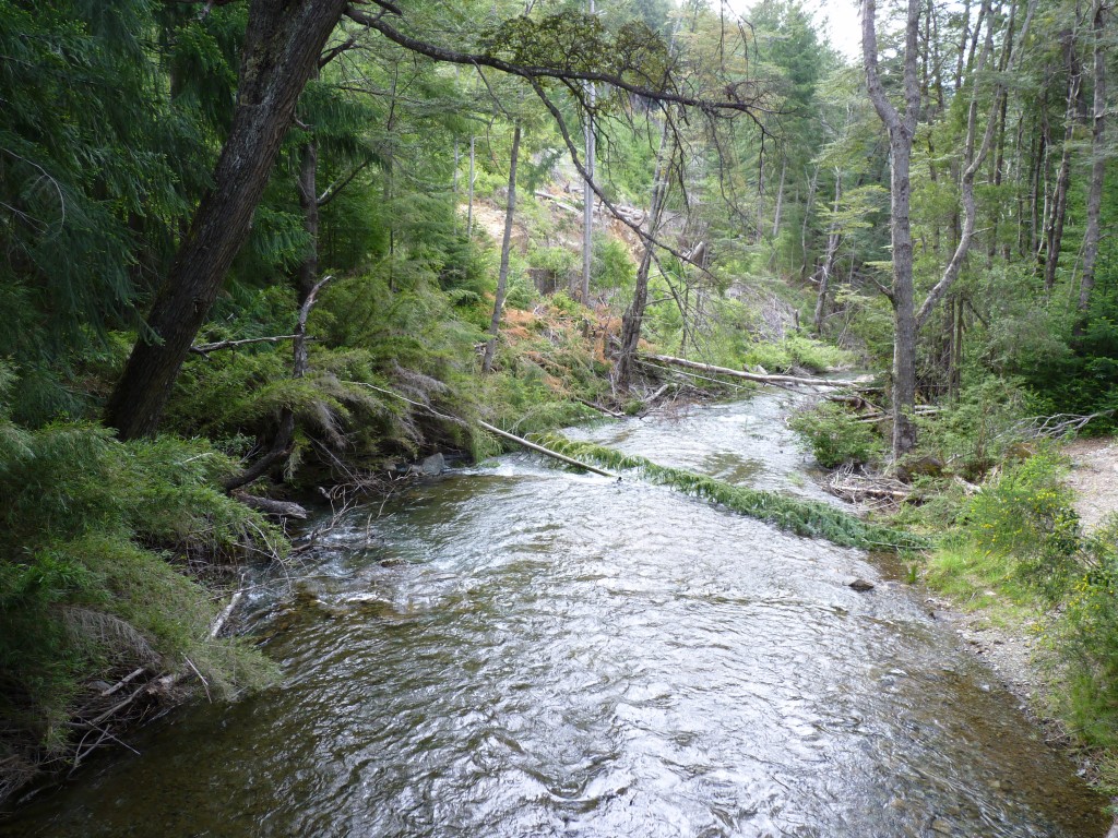 Foto: Parque Nacional Nahuel Huapi - Bariloche (Río Negro), Argentina