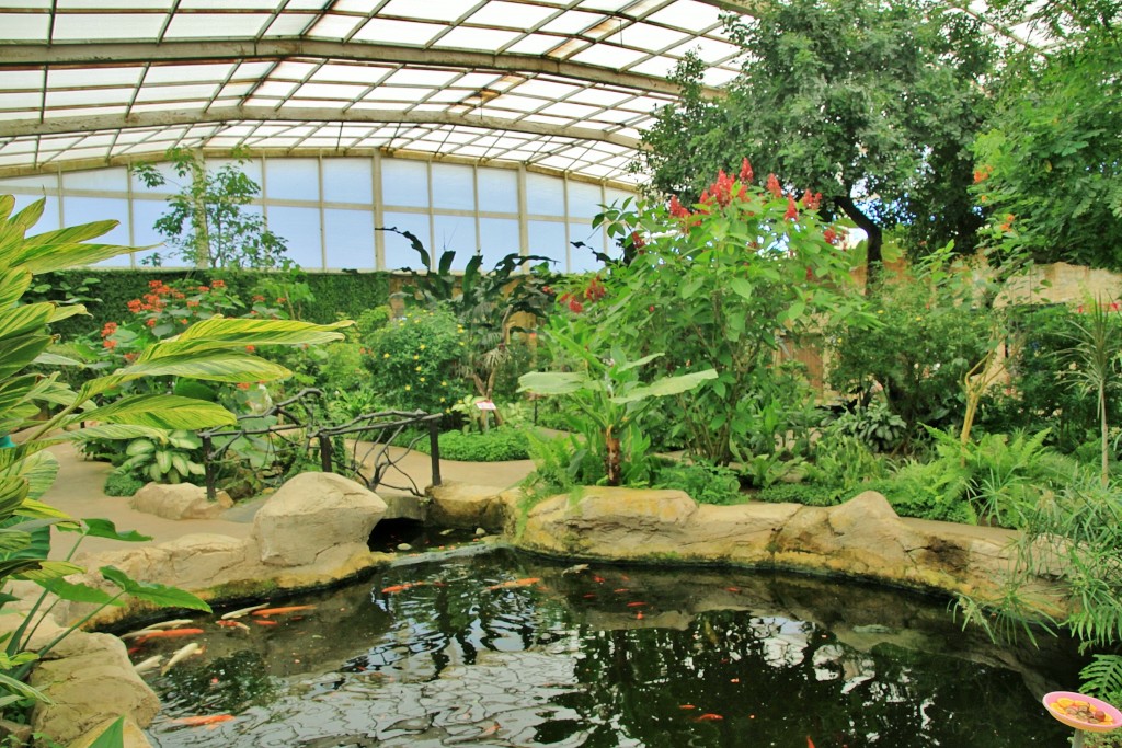 Foto: Mariposario - Benalmádena (Málaga), España