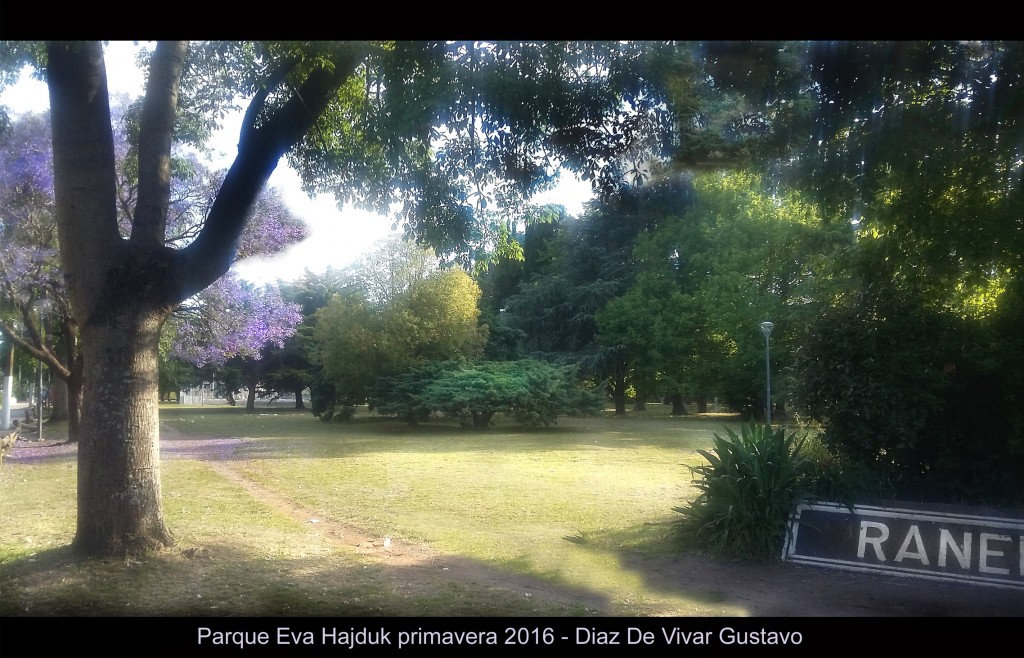 Foto: parque eva hajduk primavera 2016 - Diaz de vivar Gustavo - Ranelagh (Buenos Aires), Argentina