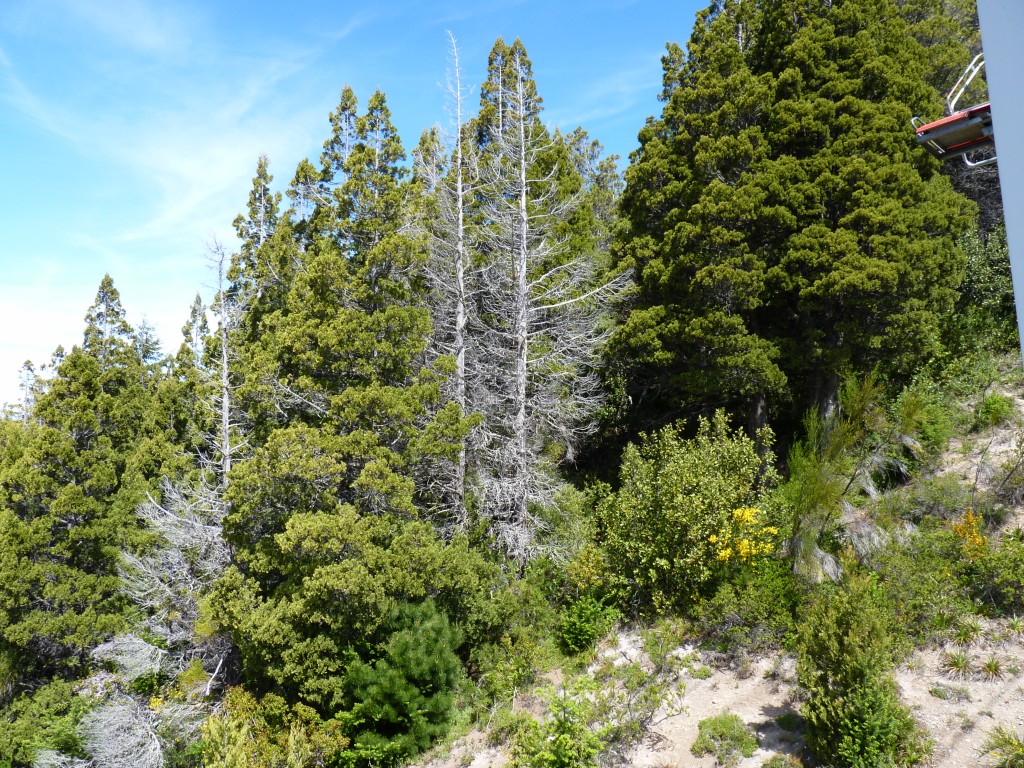 Foto: Circuito Chico - San Carlos de Bariloche (Río Negro), Argentina