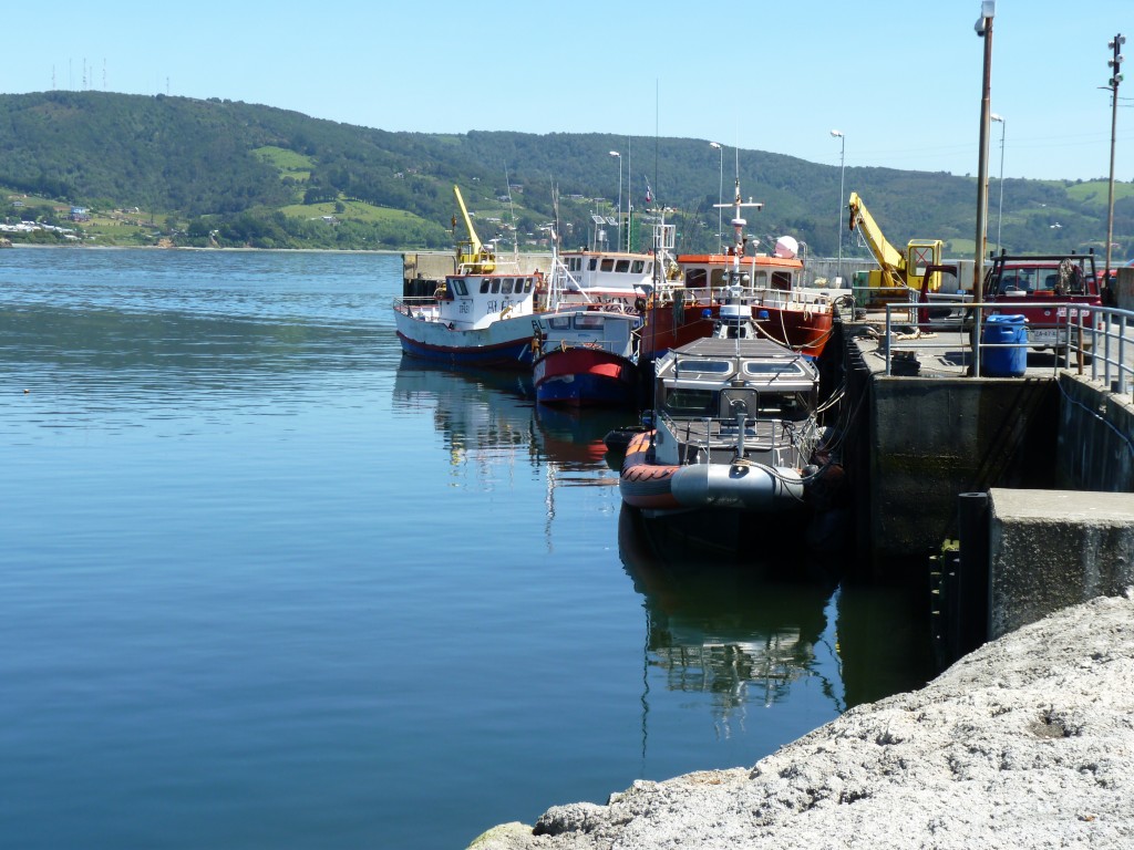 Foto: Ancud. - Chiloé (Los Lagos), Chile