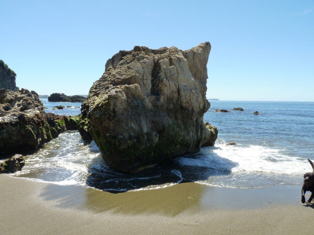 Foto: Playa. - Chiloé (Los Lagos), Chile