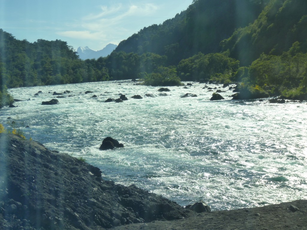 Foto: Parque Nacional Vicente Pérez Rosales. - Osorno (Los Lagos), Chile