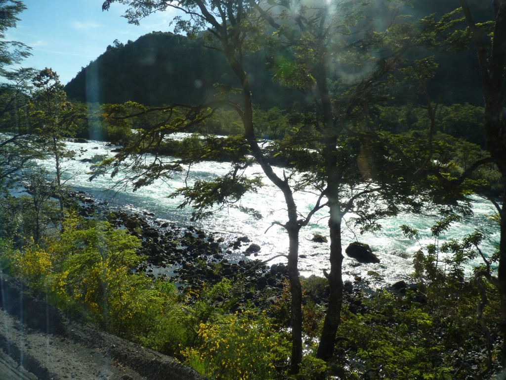 Foto: Parque Nacional Vicente Pérez Rosales. - Osorno (Los Lagos), Chile