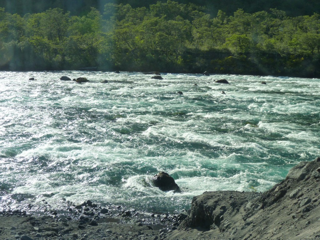 Foto: Parque Nacional Vicente Pérez Rosales. - Osorno (Los Lagos), Chile