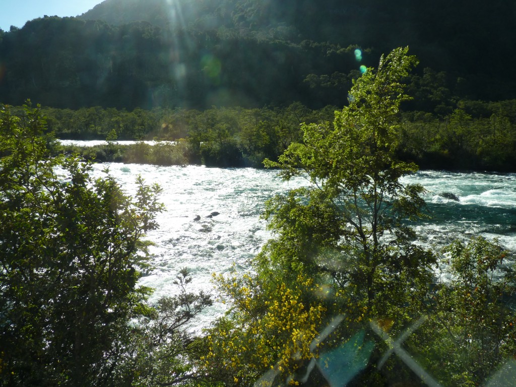 Foto: Parque Nacional Vicente Pérez Rosales. - Osorno (Los Lagos), Chile